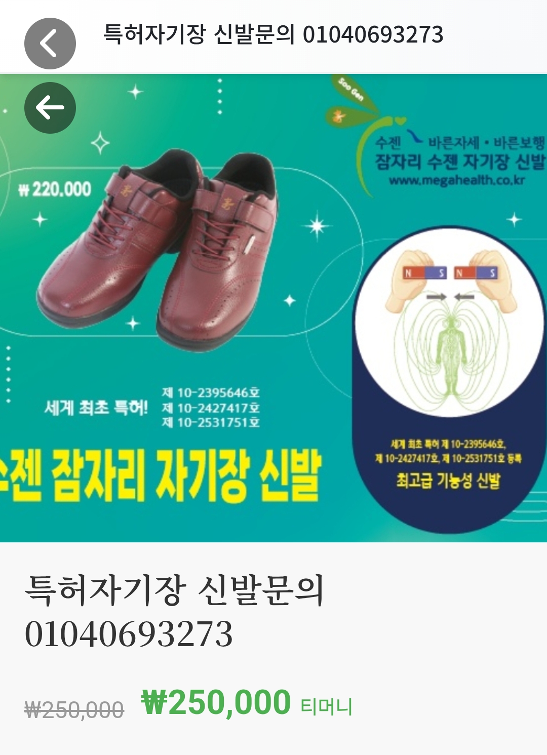 특허자기장 신발문의  01040693273