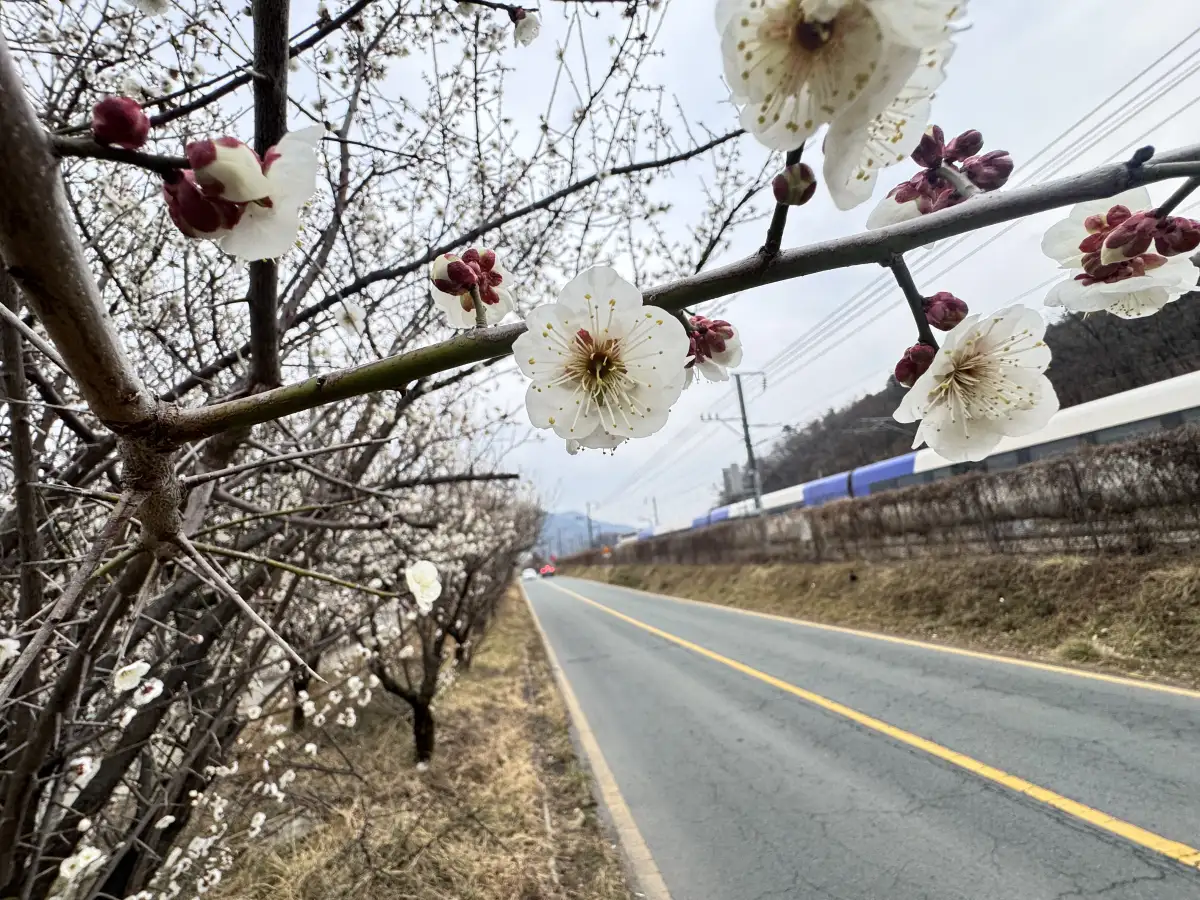 배워서쌀먹 기초 강사과정 (5월)