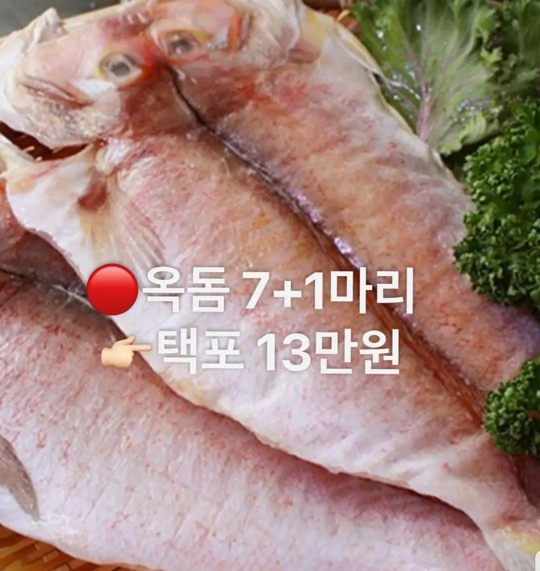 제주옥돔 7+1마리