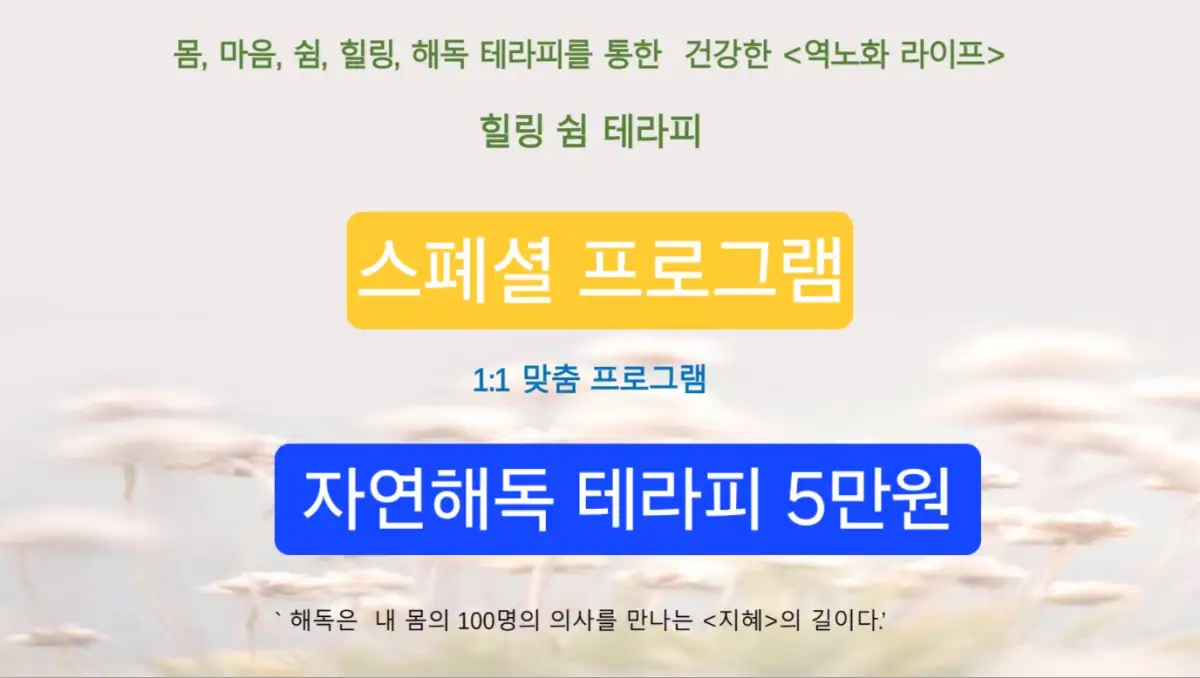 자연해독프로그램